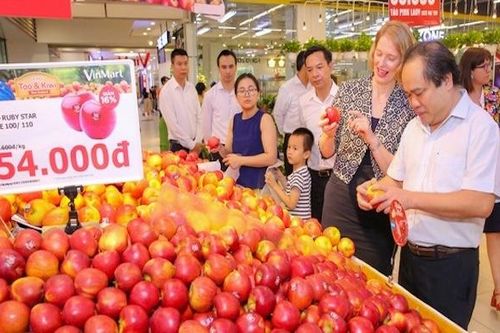 Vì sao trái cây nhập khẩu vào Việt Nam ngày càng rẻ?