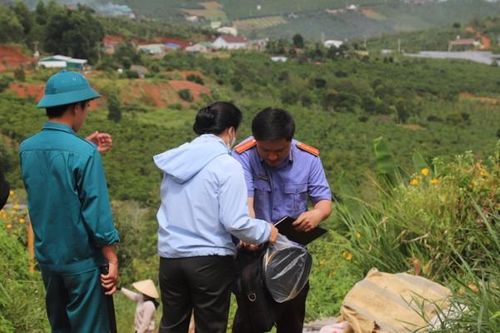 Tranh chấp căng thẳng trong thu hoạch 10ha cà phê