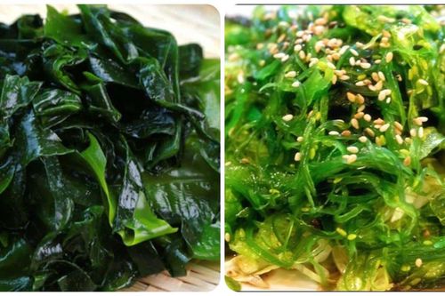 Công dụng của rong biển ít người biết