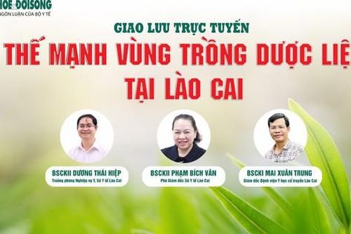 Giao lưu trực tuyến: Thế mạnh vùng trồng dược liệu tại Lào Cai