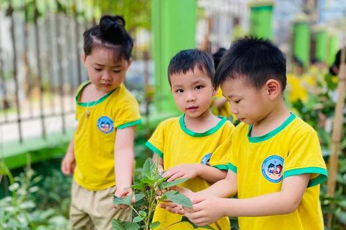 Các nhà giáo dồn tâm huyết tạo nên diện mạo mới cho ngôi trường