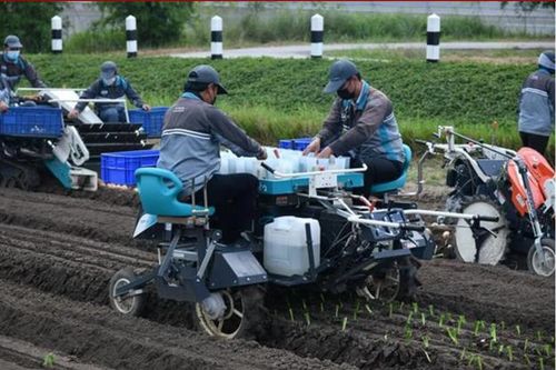 Thái Lan gia hạn lưu trú cho lao động nhập cư từ Myanmar, Lào, Campuchia và Việt Nam