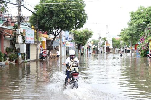 Học sinh Ninh Thuận tiếp tục được nghỉ học ngày 16-11 do mưa lũ