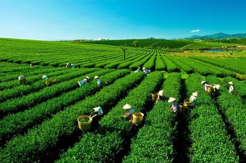 Du lịch Thái Nguyên - Khám phá và trải nghiệm