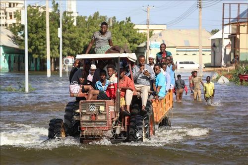 LHQ cảnh báo 25% dân số Somalia có nguy cơ lâm vào nạn đói