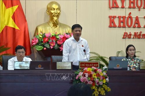 Đà Nẵng: Thông qua chuyển đổi mục đích sử dụng nhiều khu vực rừng sản xuất