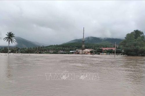 Bình Định: Sớm xây dựng tuyến kè kiên cố, đảm bảo an toàn cho người dân