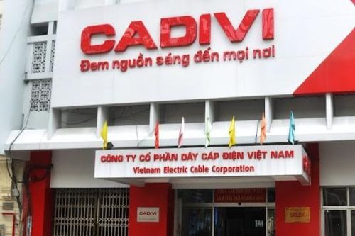 Cadivi bị xử phạt và truy thu hơn 1 tỷ đồng tiền thuế