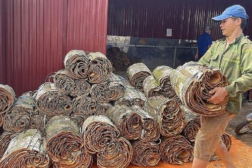 Việt Nam là quốc gia xuất khẩu quế đứng đầu thế giới