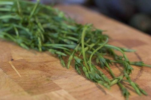 Nông sản 'đồ thừa' bỗng thành 'bảo vật xanh' đắt đỏ hàng đầu thế giới, giá lên tới hơn 26 triệu đồng/kg nhưng giới siêu giàu vẫn đổ xô săn lùng