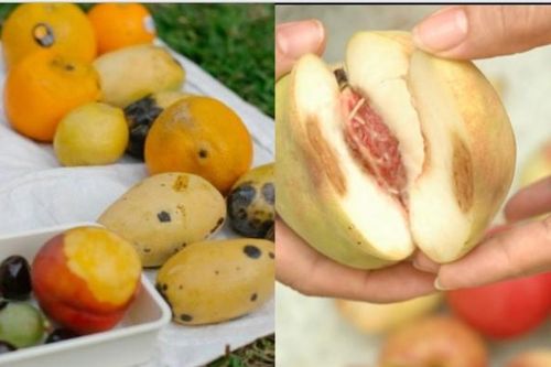 Loại trái cây này là thức ăn ưa thích của tế bào ung thư, người tiếc rẻ vẫn ăn trong vô thức!