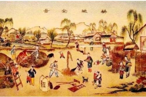Cổ nhân dạy '50 không xây nhà, 60 không trồng cây, 70 không may áo' có nghĩa là gì?