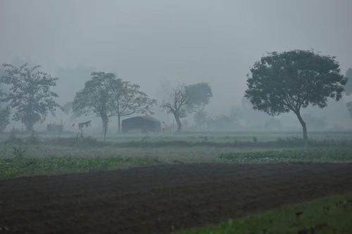 Tại sao Nam Á là điểm nóng ô nhiễm toàn cầu?