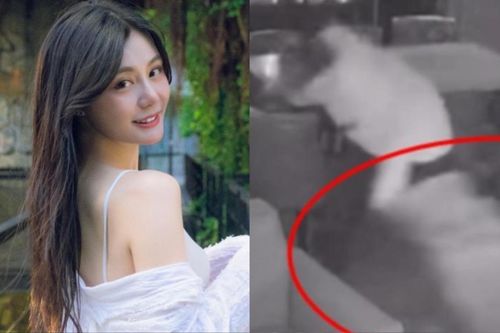 Rộ clip người mẫu Tiểu Vi bị bạn trai cũ 'tác động vật lý', kéo lê tóc trong quán ăn lúc rạng sáng