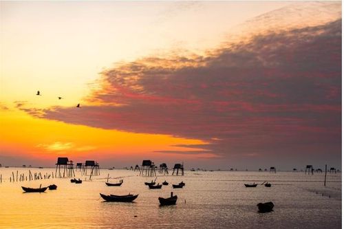 'Cuộc chiến' đầm ngao và trang nhật ký phóng viên