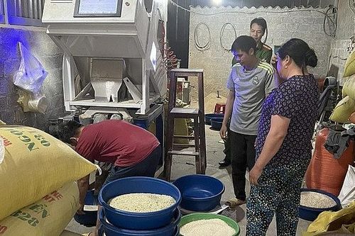 Cá 'ướp' phoóc môn, gạo nhuộm màu, người tiêu dùng đặt niềm tin vào đâu?