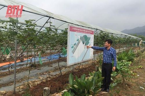 Xuân Du đẩy mạnh phát triển sản xuất, gắn với XDNTM