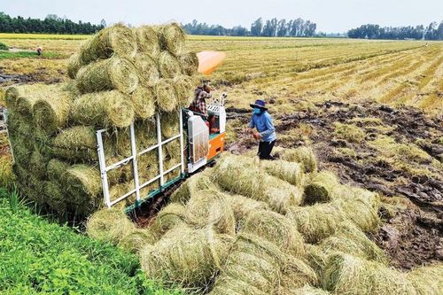 Kết nối và chia sẻ mô hình kinh tế xanh
