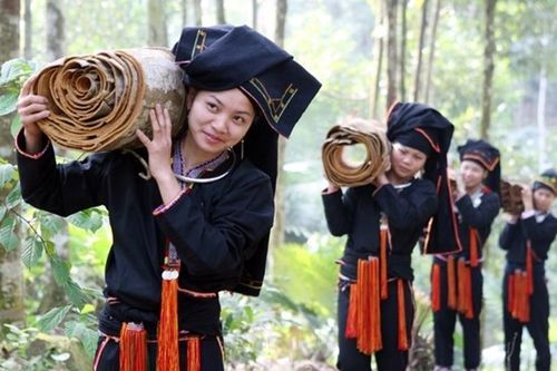 Hợp tác công – tư ngành hàng quế nhằm củng cố vị thế xuất khẩu số 1 thế giới