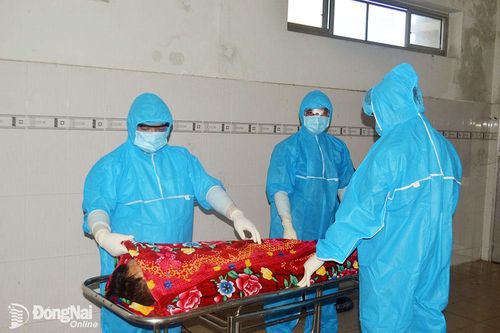 Lặng thầm nghề giám định pháp y