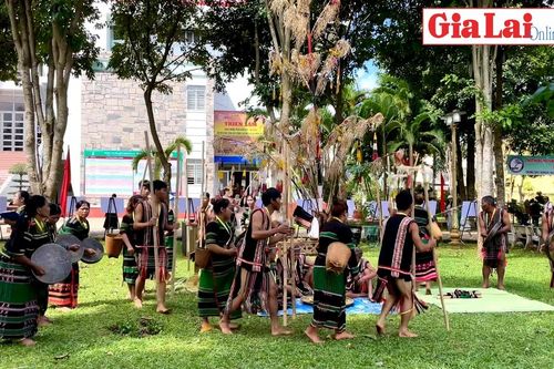 Độc đáo lễ 'Rào bon trồng cây pơ lang' của người M'nông