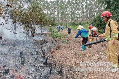 Lộc Bình tổ chức diễn tập chữa cháy rừng tại xã Sàn Viên