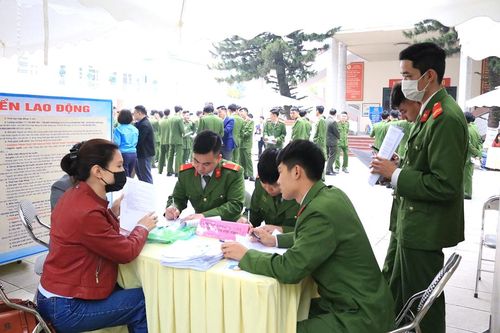 Gần 25 nghìn đoàn viên thanh niên được tư vấn, giới thiệu việc làm