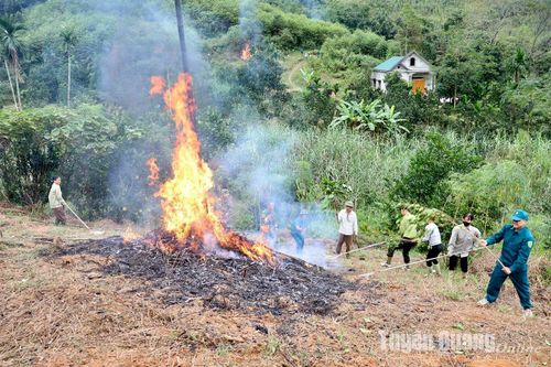 Yên Sơn diễn tập ứng phó cháy rừng và tìm kiếm cứu nạn đạt loại Giỏi