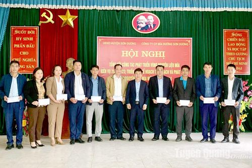 Sơn Dương phấn đấu trồng mới 350 ha mía