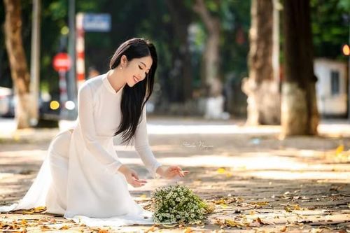 Cúc Họa Mi chào đông về