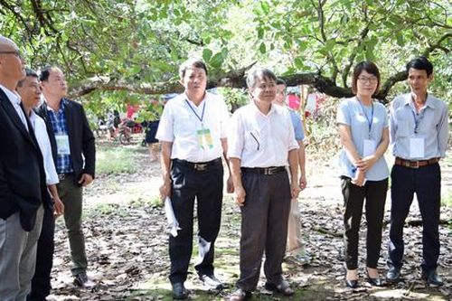 Thúc đẩy chuỗi liên kết trong các HTX đưa nông sản Bình Phước vươn xa