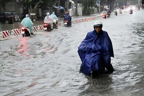 Mưa lớn gây ngập cục bộ, Ninh Thuận cho học sinh nghỉ học