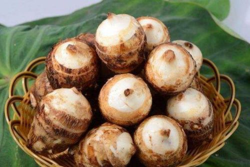 Tại sao khoai sọ là 'thần dược của nhà nghèo'?