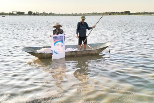 Ba Vì tập trung nuôi trồng thủy sản theo hướng bền vững