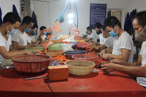 Hà Nội dạy nghề, tạo việc làm cho học viên cai nghiện ma túy