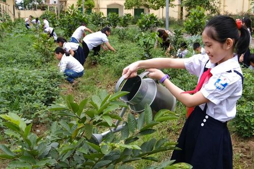 Ngành giáo dục Thủ đô lan tỏa hành động bảo vệ môi trường