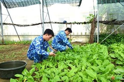 Hải đội 202 điểm sáng trong công tác hậu cần của lực lượng Cảnh sát biển