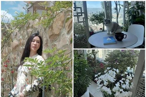 Xuýt xoa biệt thự đẳng cấp đẹp như mơ của Hoa hậu Thu Hoài