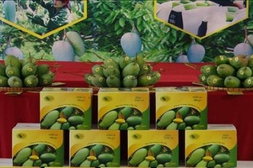Phát triển thương hiệu quốc gia cho sản phẩm nông, lâm, thủy sản