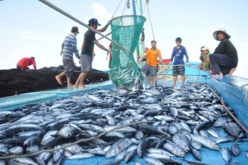 Tiềm năng kinh tế biển Việt Nam