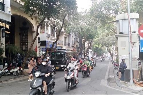 Những cánh cò chợt tới trong mơ