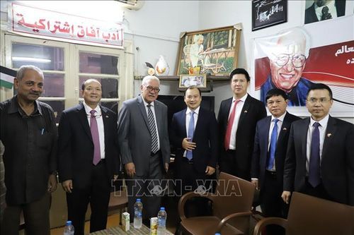 Đoàn công tác Ban Chỉ đạo Công tác Thông tin Đối ngoại thăm và làm việc tại Qatar, Ai Cập và Tanzania