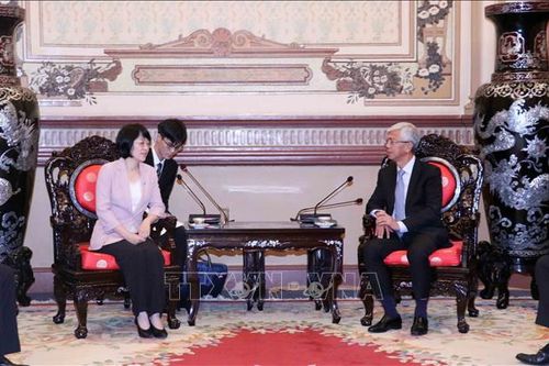 TP Hồ Chí Minh và Khu tự trị dân tộc Choang Quảng Tây hiện thực hóa tiềm năng hợp tác