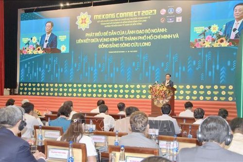 Kết nối chuỗi giá trị vùng Đồng bằng Sông Cửu Long – TP Hồ Chí Minh