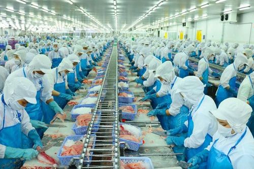 Sau 2 tuần chậm nộp, doanh nghiệp của 'nữ tướng' Lệ Khanh công bố lãi giảm 56%