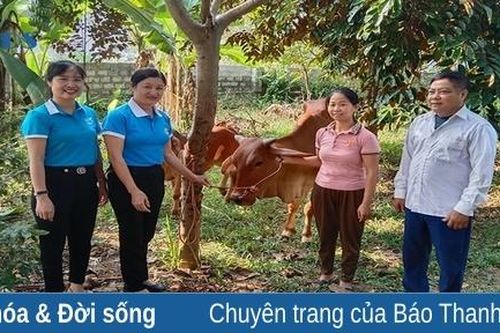 Thọ Xuân: Nhiều cách làm tăng thu nhập cho phụ nữ