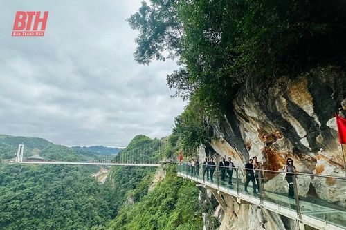 Khảo sát, học tập các mô hình du lịch tiêu biểu tại huyện Mộc Châu