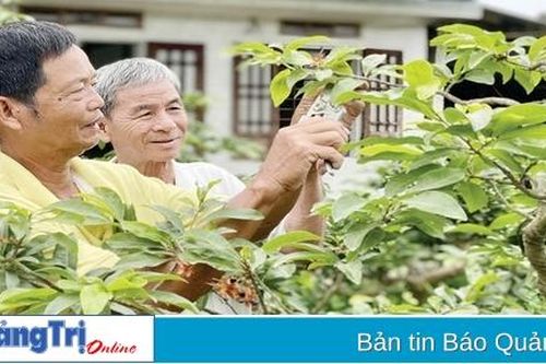 Quảng Trị có 4 đại biểu được tôn vinh tại Hội nghị biểu dương người cao tuổi làm kinh tế giỏi toàn quốc lần thứ IV