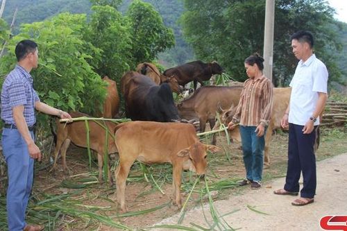 Vai trò người có uy tín ở vùng cao Bắc Yên