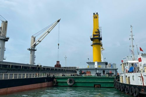 Tăng cường tin học hóa, tự động hóa trong quá trình sản xuất